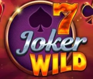 Poker 7 Joker Wild